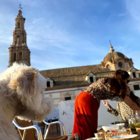 El Patio Del Limonero Hébergement de vacances Écija