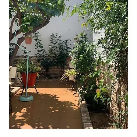 Сasa de vacaciones El Patio Del Limonero *