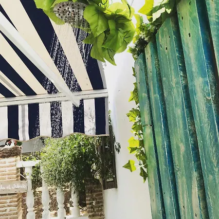 Hébergement de vacances El Patio Del Limonero