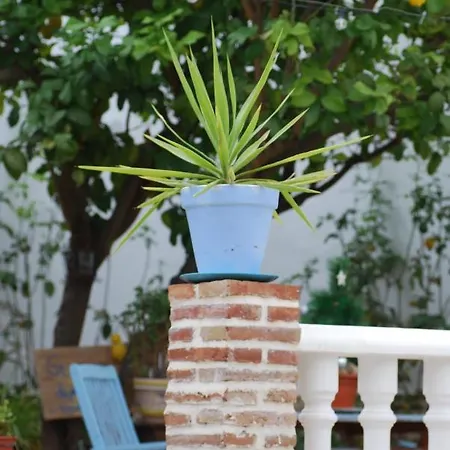 Vakantiehuis El Patio Del Limonero *