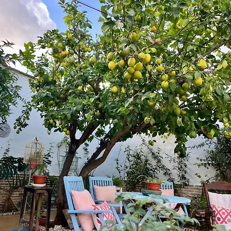 El Patio Del Limonero Écija