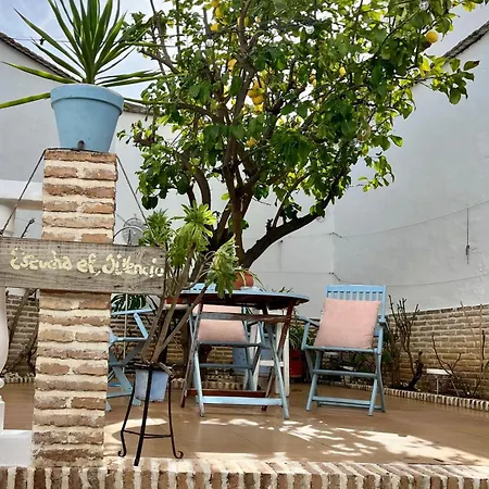 El Patio Del Limonero *